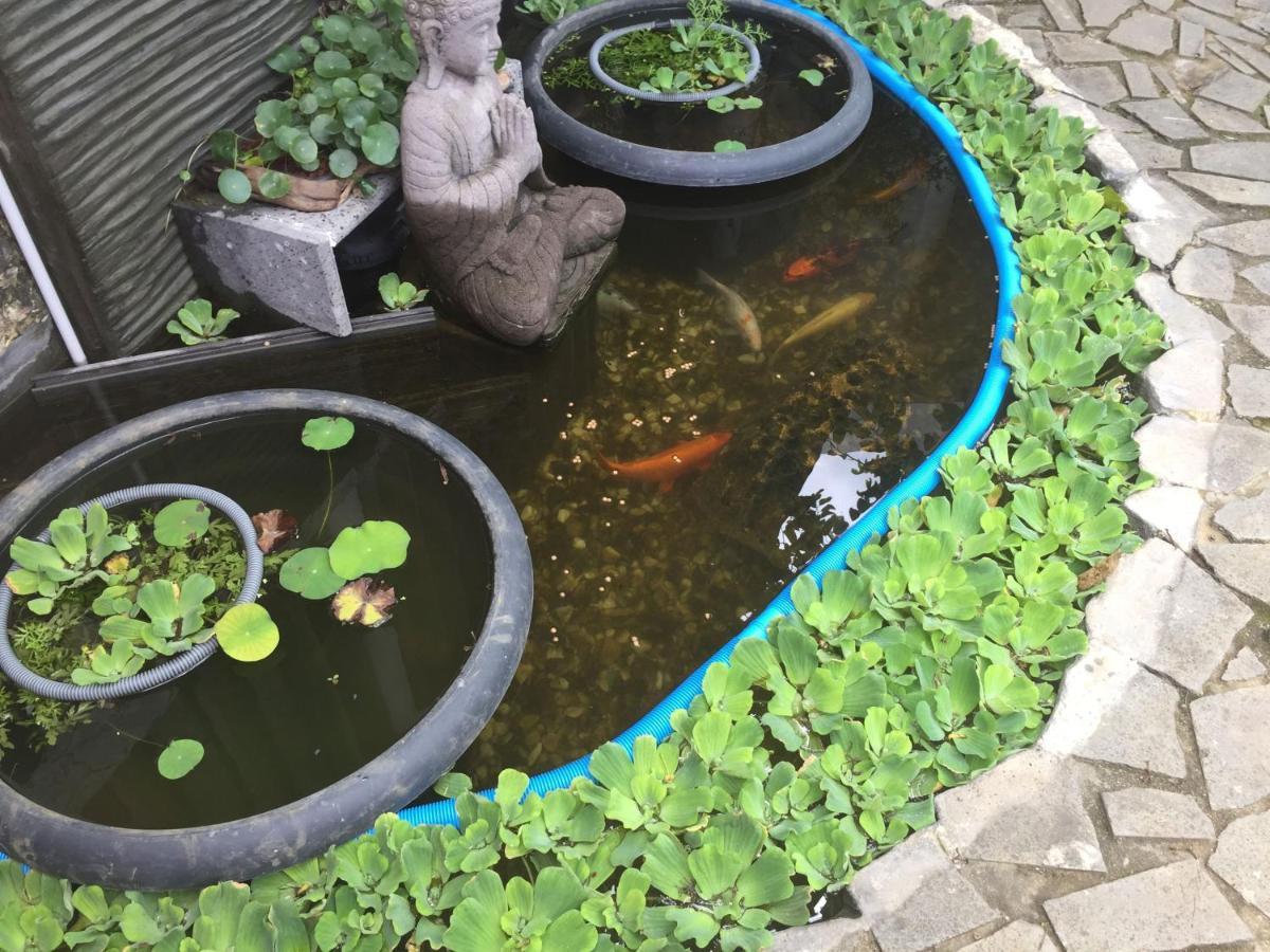 Ti Kaz Lo Ker Chambre D'Hote Chez L'Habitant 생조세프 외부 사진